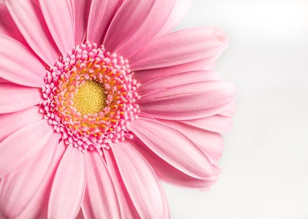 beauty-640x480-62665628.jpeg