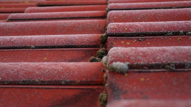 roofing inspection