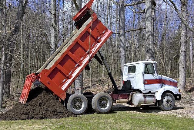 movers-640x480-71318780.jpeg