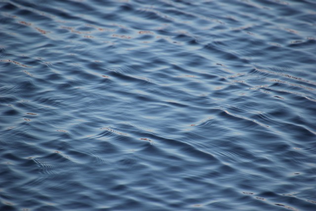 Water Damage