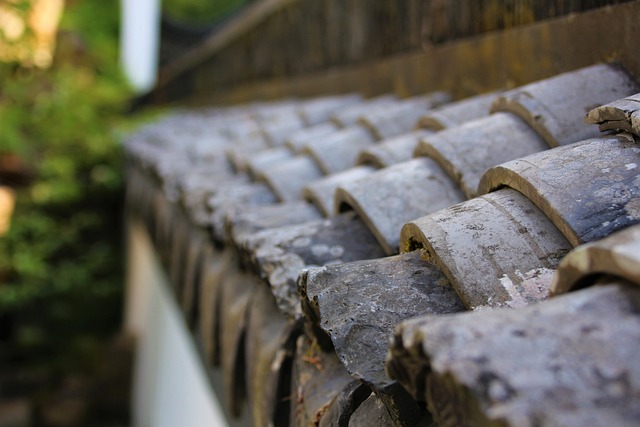 roofing-inspection-640x480-66930249.jpeg