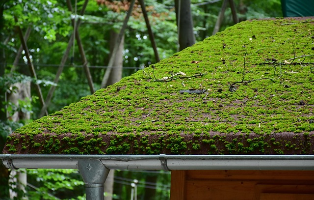 roofing inspection
