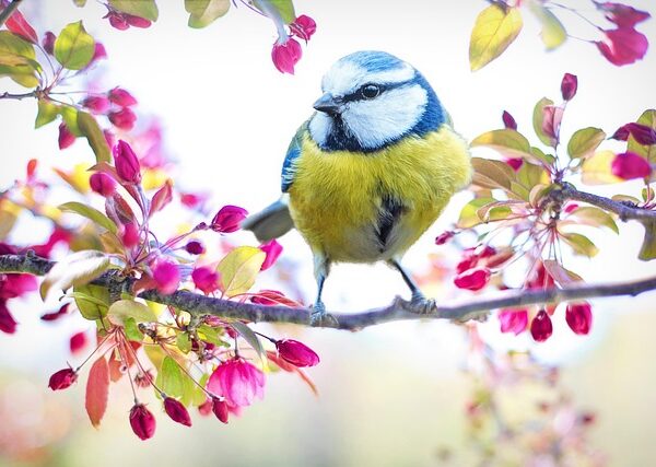 beauty-640x480-26225874.jpeg