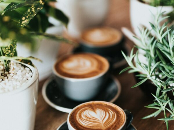 cafe-640x480-30580395.jpeg