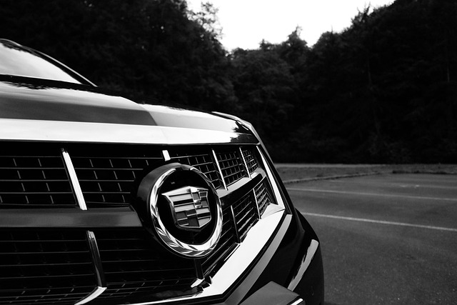 Proven Expertise & Superior Service: Trusted Denver Auto Repair