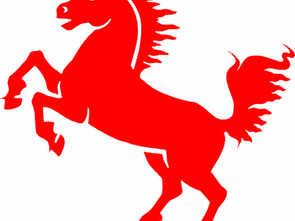npressfetimg-67.png