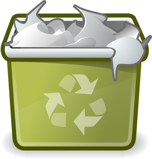 Queens Recycling and Green Waste Management Dumpsters