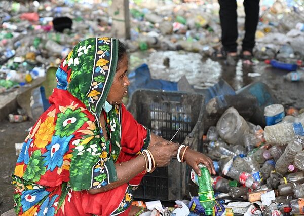 queens-recycling-and-green-waste-managem-640x480-20884661.jpeg