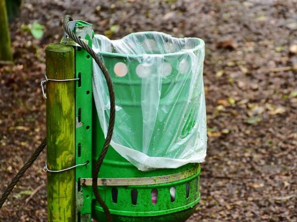 queens-recycling-and-green-waste-managem-640x480-31840003.jpeg