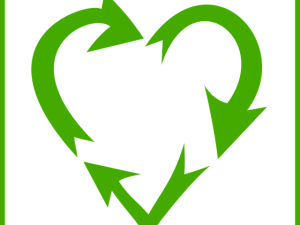 queens-recycling-and-green-waste-managem-640x480-37740828.png