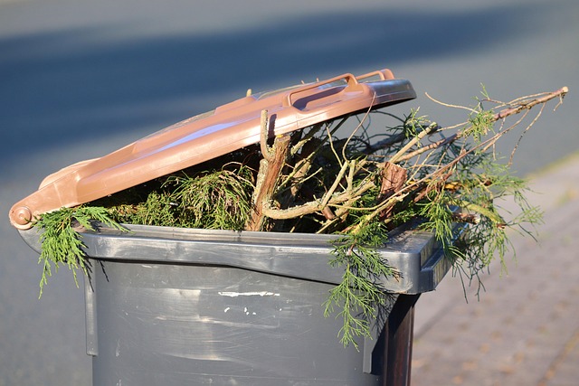 Queens Recycling and Green Waste Management Dumpsters