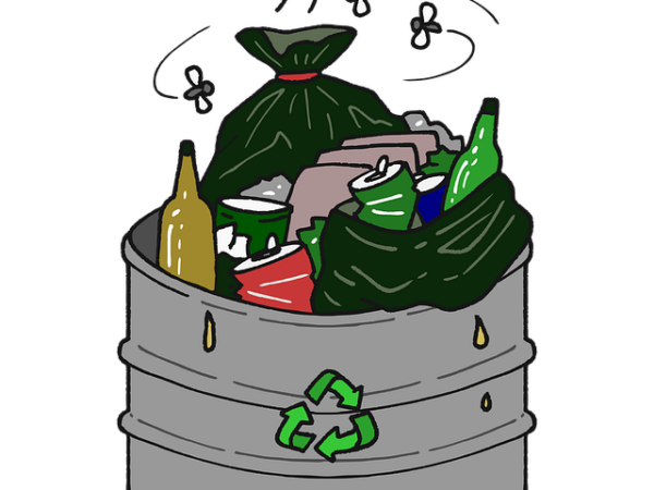 queens-recycling-and-green-waste-managem-640x480-49820493.png