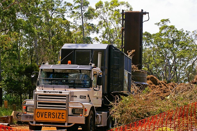 Queens Recycling and Green Waste Management Dumpsters