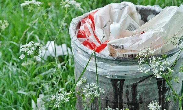 queens-recycling-and-green-waste-managem-640x480-66243433.jpeg