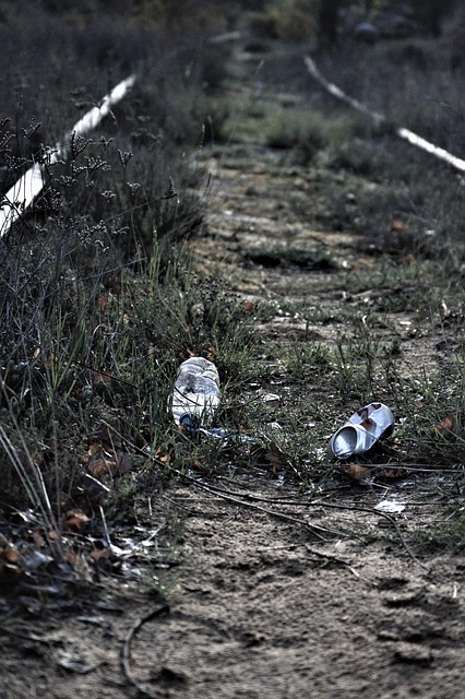 Queens Recycling and Green Waste Management Dumpsters