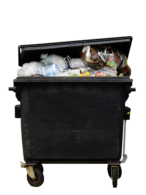 Queens Recycling and Green Waste Management Dumpsters