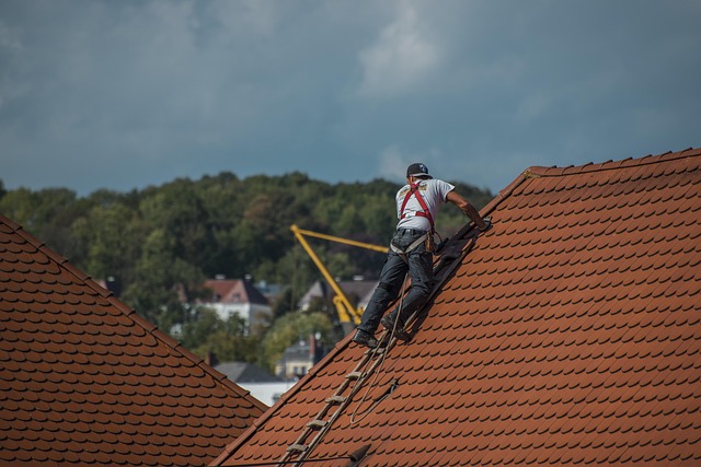 roofing inspection