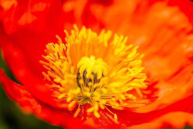 beauty-640x480-47683022.jpeg