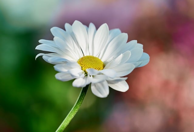 Beauty