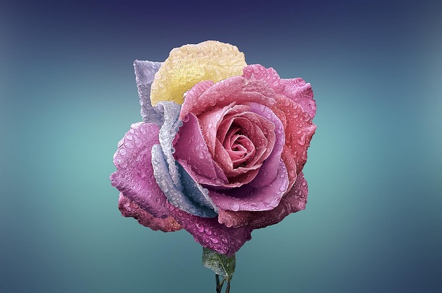 beauty-640x480-79806588.jpeg