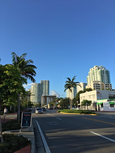 Moving Companies Miami Florida