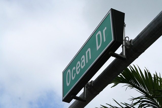 Moving Companies Miami Florida