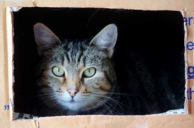 moving company