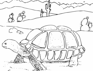 npressfetimg-64.png