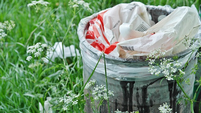 Queens Recycling and Green Waste Management Dumpsters