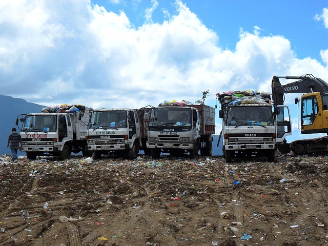 Queens Recycling and Green Waste Management Dumpsters