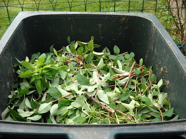 Queens Recycling and Green Waste Management Dumpsters