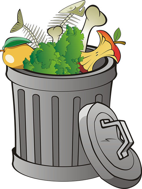 Queens Recycling and Green Waste Management Dumpsters