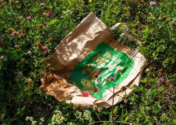 queens-recycling-and-green-waste-managem-640x480-76225342.jpeg