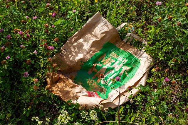 queens-recycling-and-green-waste-managem-640x480-76225342.jpeg