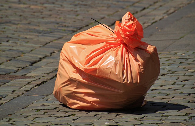 Queens Recycling and Green Waste Management Dumpsters