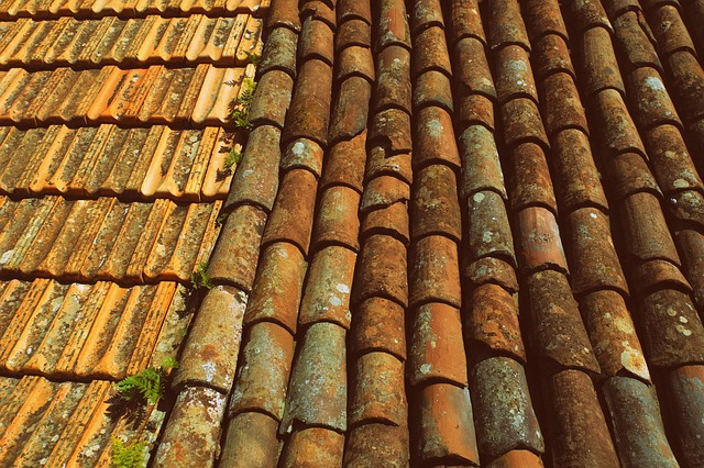 roofing inspection