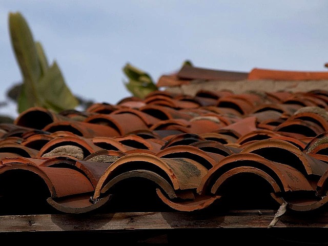 roofing inspection
