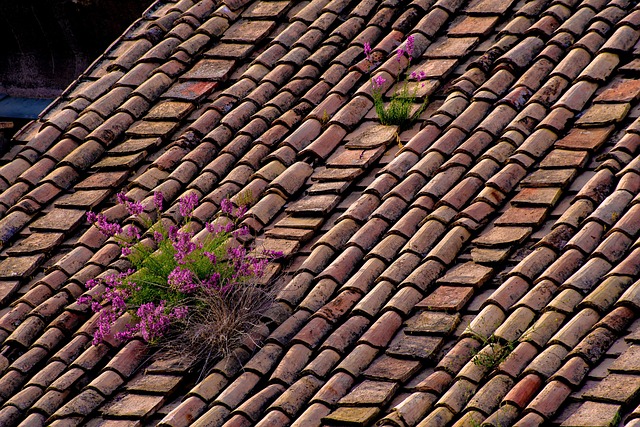 roofing inspection