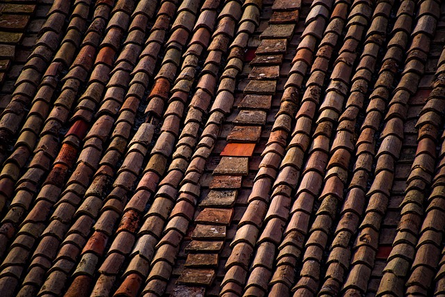 roofing inspection