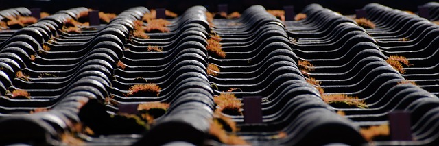 roofing inspection