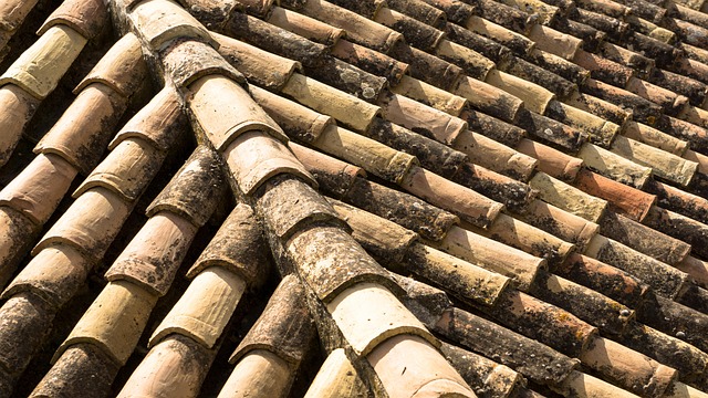 roofing-inspection-640x480-7026696.jpeg