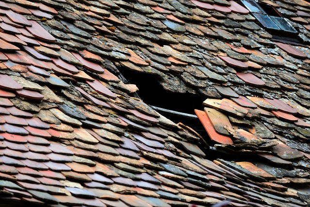 roofing inspection