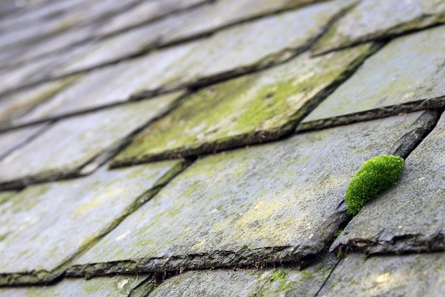 roofing inspection