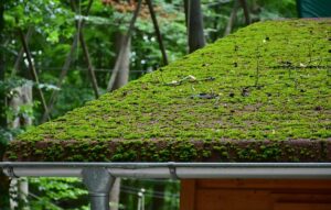 roofing-inspection-640x480-92879261.jpeg