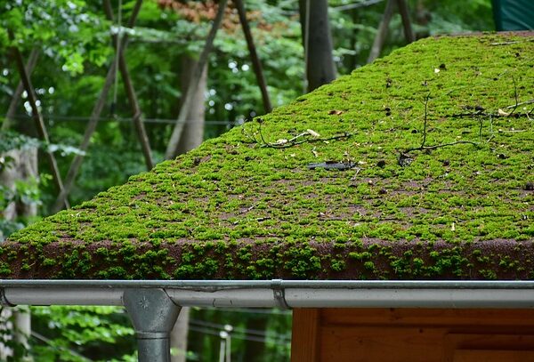 roofing-inspection-640x480-92879261.jpeg