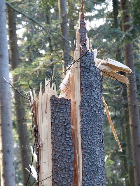 water-damage-640x480-18253701.jpeg