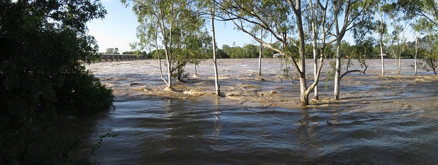 water-damage-640x480-57226837.jpeg