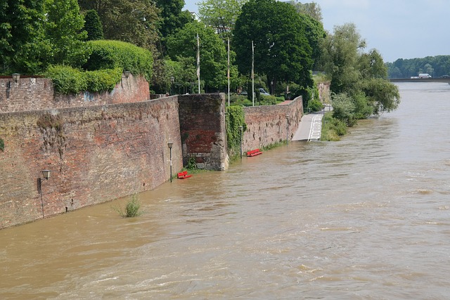Water Damage