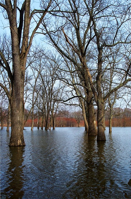 Water Damage