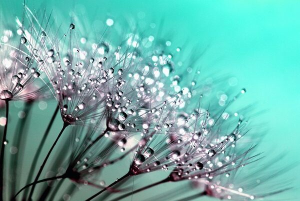 beauty-640x480-33074752.jpeg